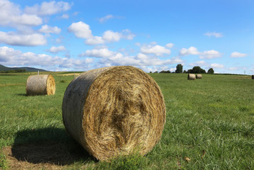 Strohballen