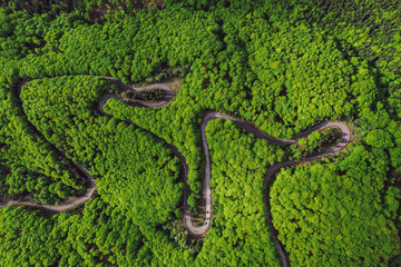 Windy forest road in the spring seen from above