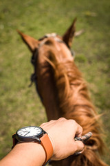 man riding a horse across the field