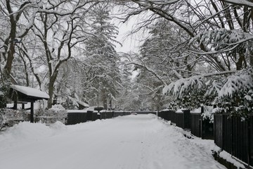 Naklejka premium 《角館の冬》秋田県仙北市