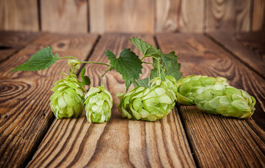 Fresh hop cones on a wooden background