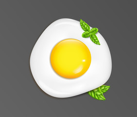 Vector realistic fried egg with basil