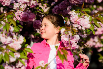 Fototapeta premium summer. Childhood beauty. happy girl in cherry flower. Sakura tree blooming. small girl child in spring flower bloom. skincare spa. Natural cosmetics for skin. blossom smell, allergy. Natural beauty