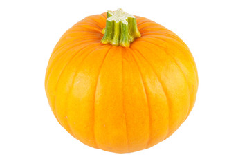 Ripe fresh pumpkin on a white background