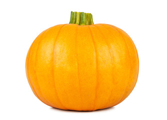 Ripe fresh pumpkin on a white background