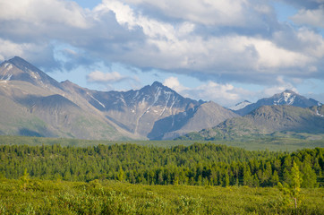 Obraz premium Landscape of taiga against the background of the high mountains of Altai in Russia