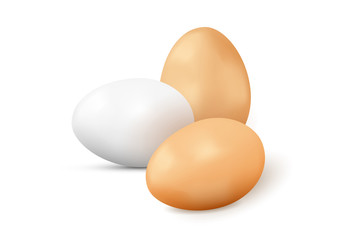 Realistic vector yellow and white eggs on white background