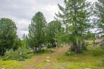 Landscape road among the high mountains of Altai in Russia