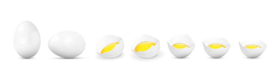 Realistic vector white eggs and broken eggs with yolk on white background