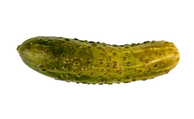 Salmon cucumber on a white background