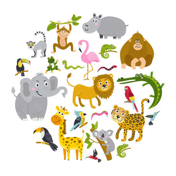 Set of tropical animals in a circle