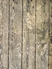 Texture of brown plank from old porch