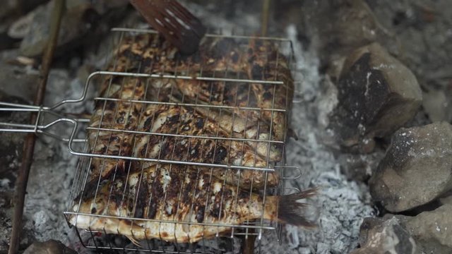Close-up scene of a fish which are roasting on a barbecue grill on a fire. There is a picnic in a forest.