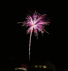 《大曲の花火》秋田県大仙市