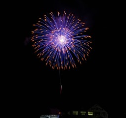 《大曲の花火》秋田県大仙市