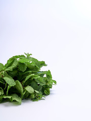 Fresh green mint leaves on white background