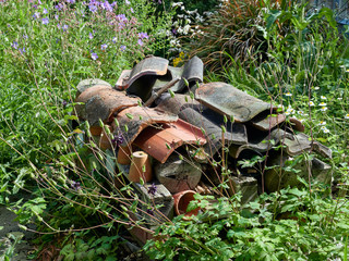 An Insect Garden in the undergrowth made up of old Pots, Roof Tiles and Wood at St Andrews Botanic Gardens in Fife, in Scotland.