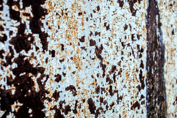 Old metal rusted wall partly covered with peeling paint. Grunge texture and background. Close-up