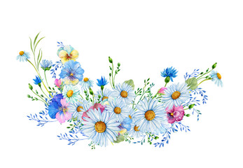 Chamomile flowers,wild flowers .Illustration in watercolor on an isolated white background