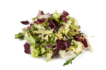 Mix of ornamental lettuce on a white background