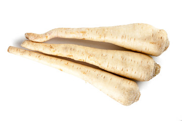 Parsley root on a white background