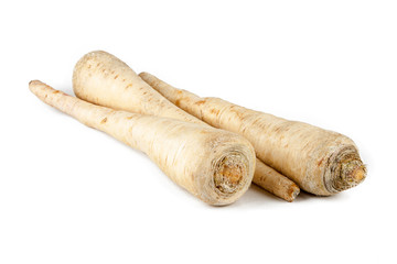 Parsley root on a white background