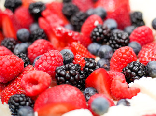 berry fruit cake different colors