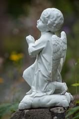 Closeup of stoned angel praying on tomb in cemetery