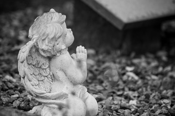 Closeup of stoned angel praying on tomb in cemetery