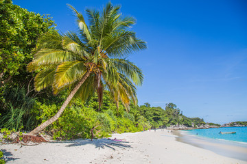 Obraz premium Similan island views from the beach and above, in Thailand