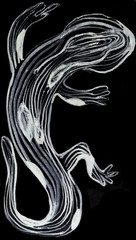 beautiful graphic lizard on the background, chameleon, watercolor lizard, animals, watercolor animals,