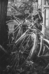 Old abandoned bikes depressively stand by the barn. Black and white film photo of old bicycles