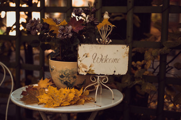 Beautiful table in a street cafe.