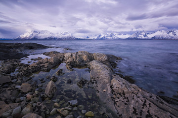 Cold and freezing temperatures on the coast of Lofotten, Norway. Pure natural beauty yet harsh conditions. Rocky seaside, moody skies.