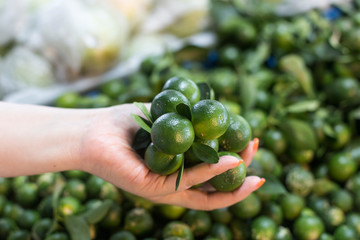 Fresh local calamansi or limau kasturi in hand.