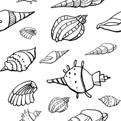 Collection of sea shell ink doodles on white backdrop. Seamless pattern. Endless texture. Can be used for printed materials. Underwater holiday background. Hand drawn design elements. Sea life print.