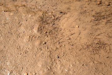 Mud texture background. Natural disaster, rain and hurricane