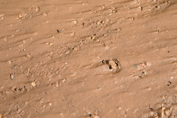Mud texture background. Natural disaster, rain and hurricane