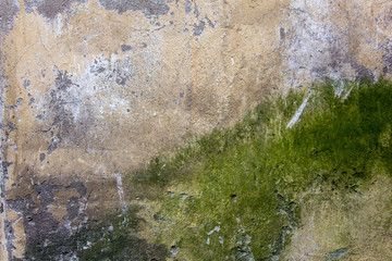 old battered beige gray concrete wall with scratches, cracks and green stains of moss and mold. rough surface texture