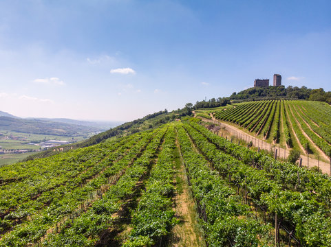 Luftaufnahme der Weinberge um Illasi in der Provinz Verona, Venetien, Italien