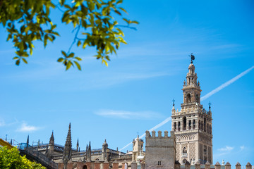 Fototapeta premium セビリア大聖堂