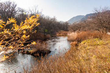 Autumn Colors and Ryuzu waterfall in Nikko national park, Nikko Tochigi, Japan （Senjogahara plateau）