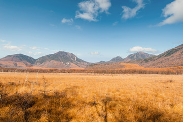 Autumn at Senjogahara plateau in Nikko national park, Nikko Tochigi, Japan.