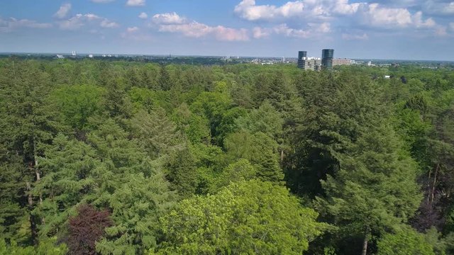 Aerial of a Lush Green Forest full of trees slowly revealing houses and a town. Apeldoorn