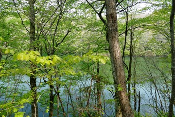 《十二湖の四季》青森県深浦町