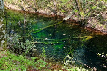 《十二湖の四季》青森県深浦町