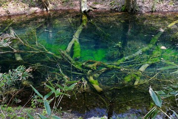 《十二湖の四季》青森県深浦町