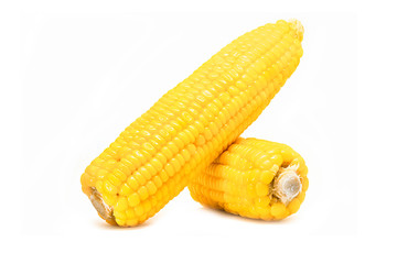 corn isolated on white background