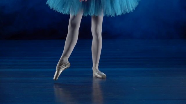 Professional ballerina in tutu performing ballet. Close up slow motion.