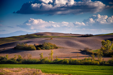 Tuscany fields and olive groves at sunrise